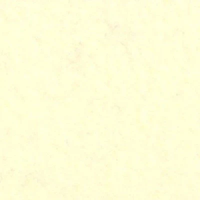 ARCTIC FLEECE SOLIDS - NEUTRAL COLOUR FAMILY - Image 7