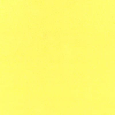 ARCTIC FLEECE SOLIDS - YELLOW COLOUR FAMILY - Image 4