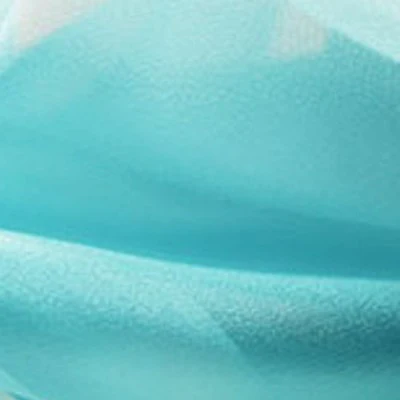 SHINY ORGANZA - Image 13