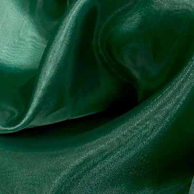 SHINY ORGANZA - Image 14