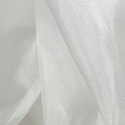SHINY ORGANZA - Image 3