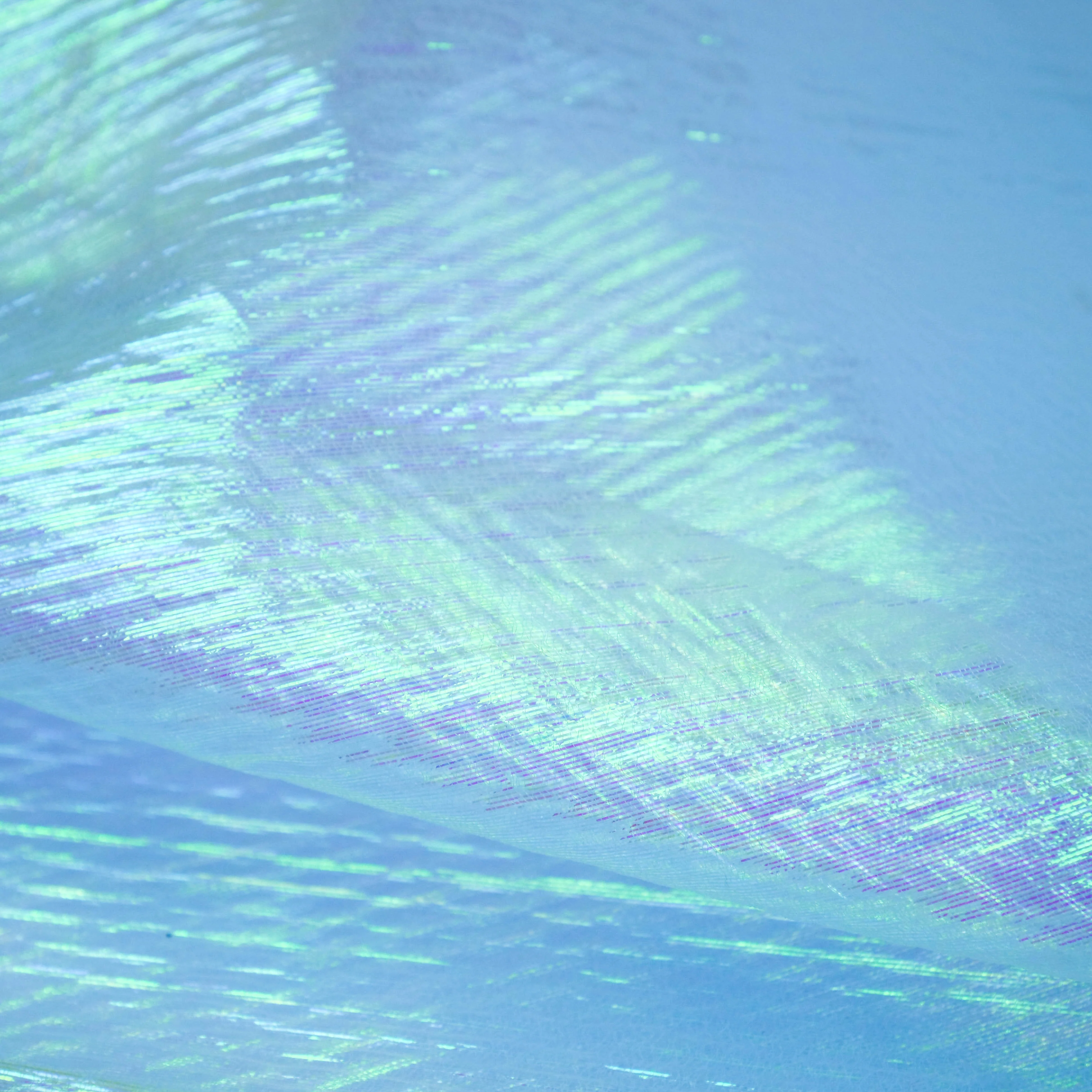 RAINBOW LAMÉ - Image 3