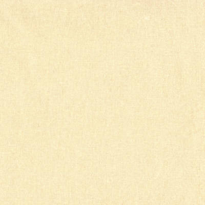 PRIMA® WIDE WIDTH QUILT BACK COTTON - Image 4