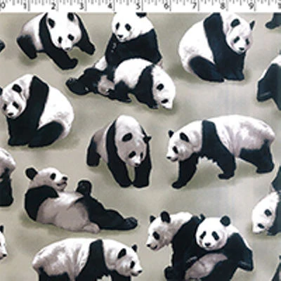 PANDAS - Image 4