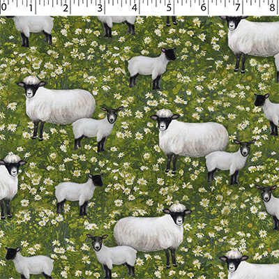 COUNTRY FARM - SHEEP
