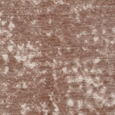 EDEN CHENIILE - Image 3