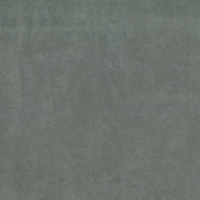 SABLE SUEDE - Image 3