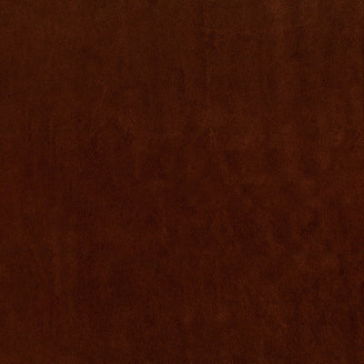 SABLE SUEDE - Image 9
