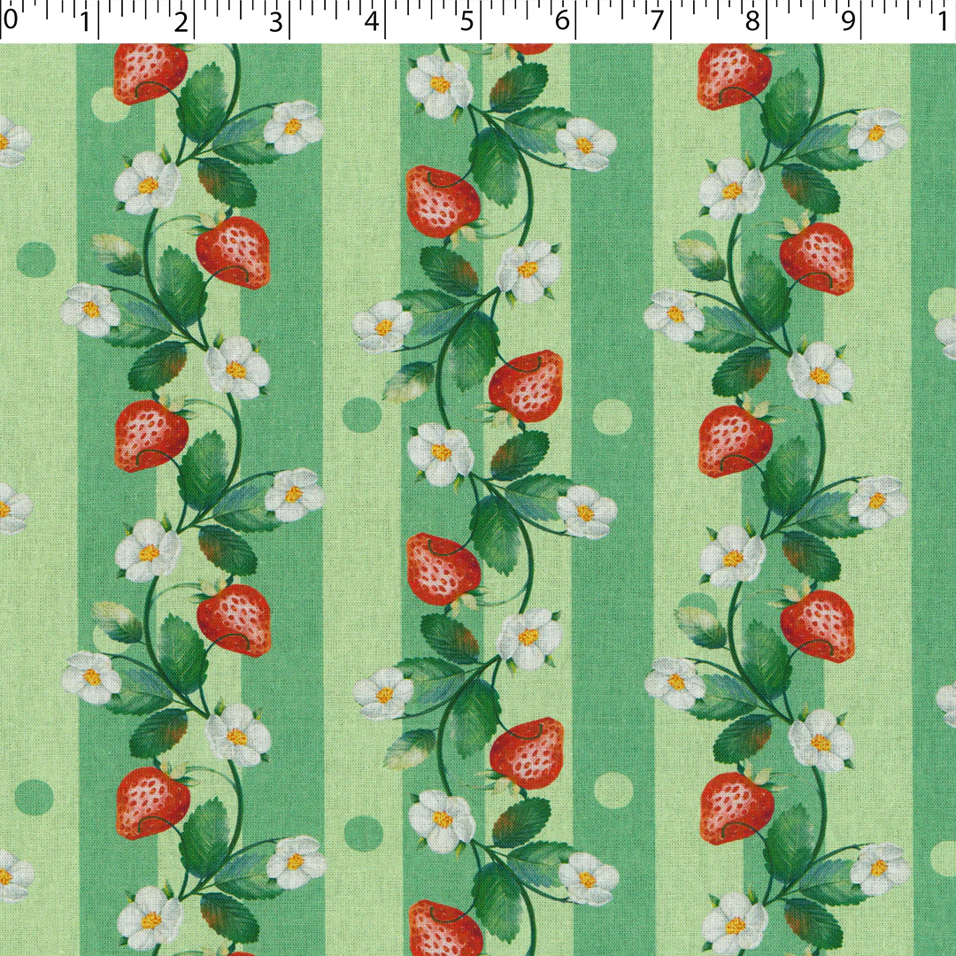 STRAWBERRY FIELDS - STRAWBERRY STRIPE - Image 2