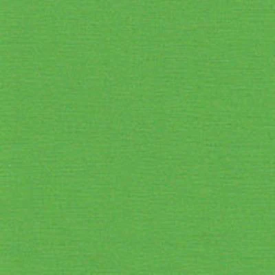 BROADCLOTH (COLOURS) - Image 20
