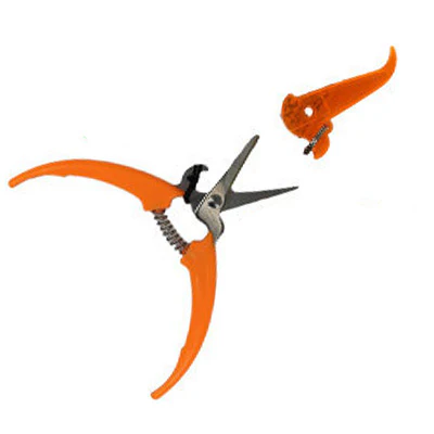 HANDY CUTS SCISSORS - Image 3