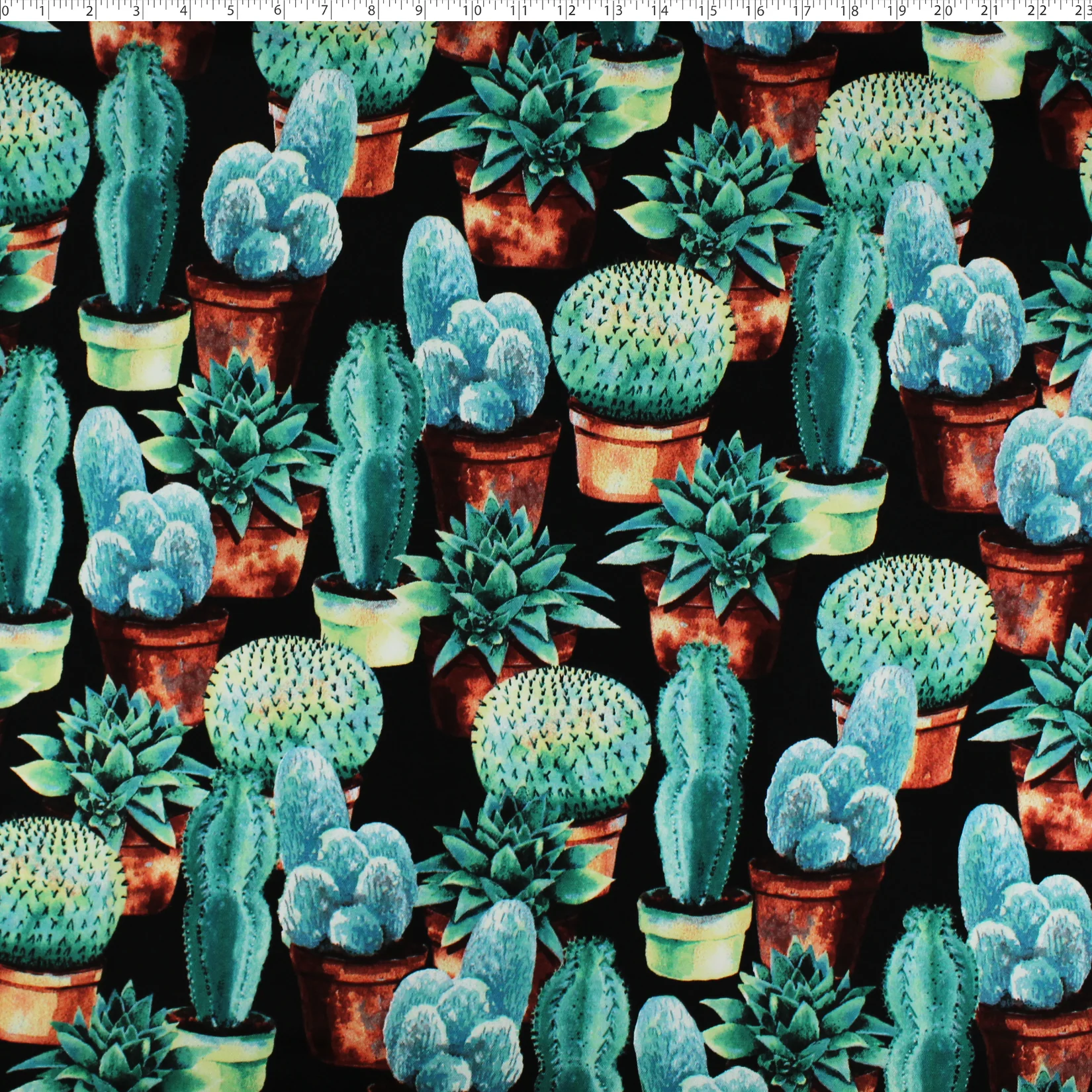 OUTDOOR PRINTS - CACTI - Image 3