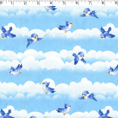SPECIAL DELIVERY COORDINATES - BABY BIRDS