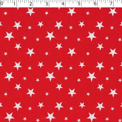 JUST BASICS - STAR - Image 3
