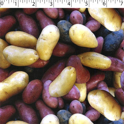 VEGETABLE GARDEN - POTATOES