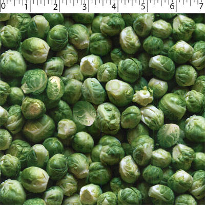 VEGETABLE GARDEN - BRUSSEL SPROUTS