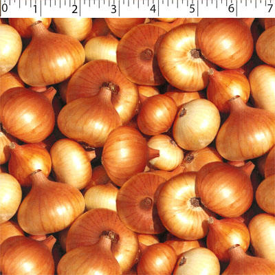 VEGETABLE GARDEN - ONIONS