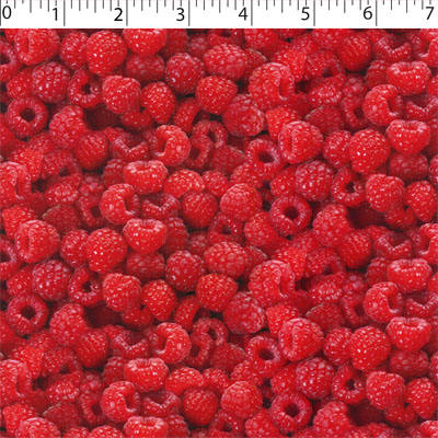 FRUIT STAND - RASPBERRIES