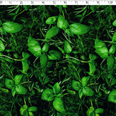VEGETABLE GARDEN - HERBS