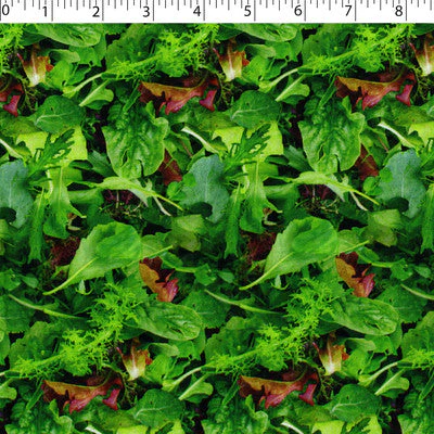 VEGETABLE GARDEN - LETTUCE