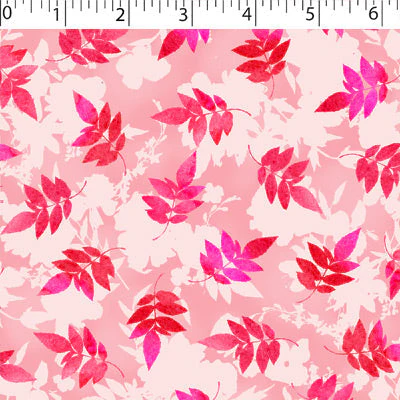 COTTINGTON GARDEN - ABELIA - Image 3