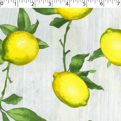 LEMON GROVE - BARNBOARD LEMONS - Image 2