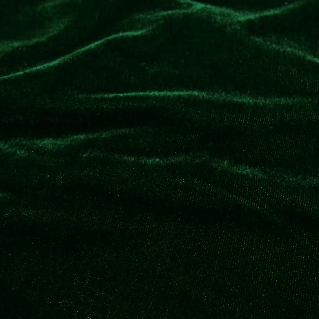 COSTUME VELVET - Image 4