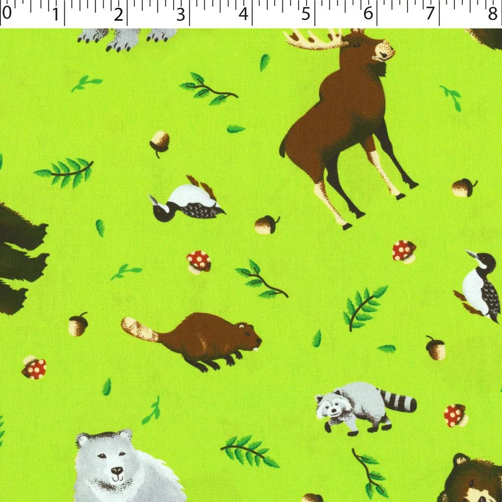 WOODLAND PARK - ANIMAL TOSS - Image 2